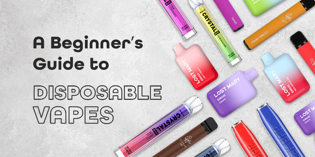 A Beginner's Guide To Disposable Vapes - TidalVape
