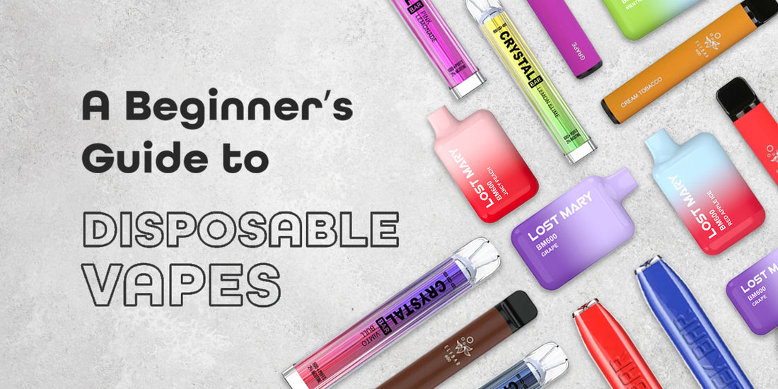 a beginners guide to disposable vapes